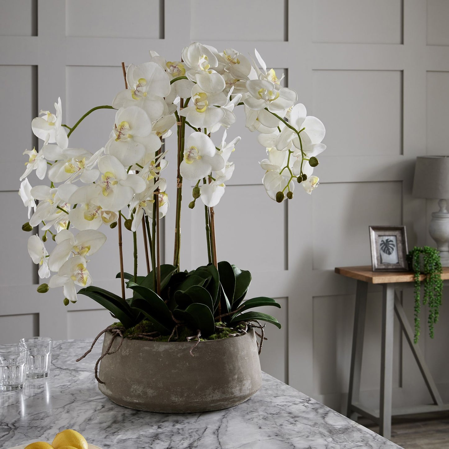 Large White Orchid In Stone Pot 90cm