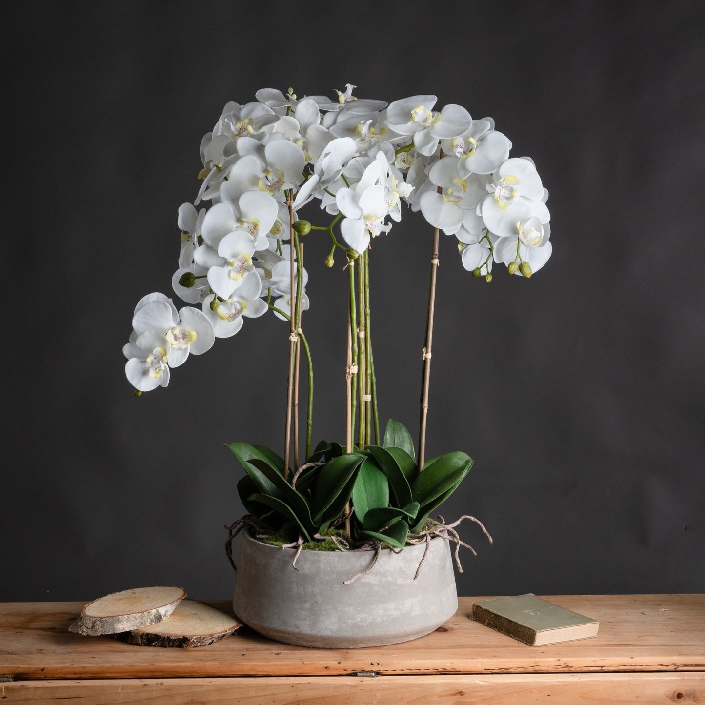 Large White Orchid In Stone Pot 90cm