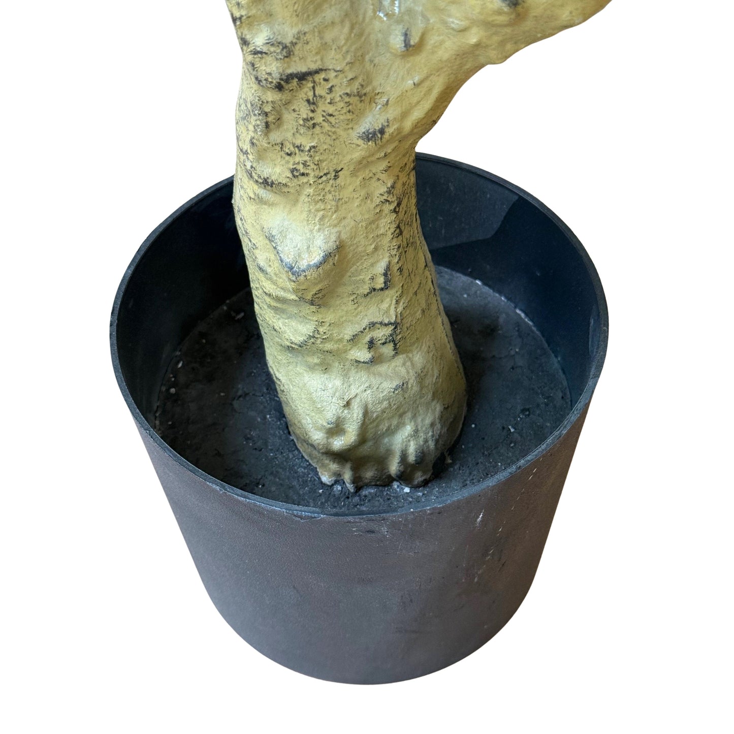 Calbria Large Olive Tree 180cm