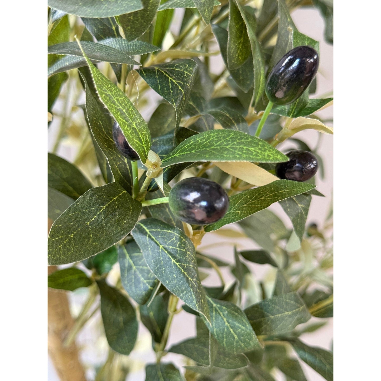 Calbria Large Olive Tree 180cm