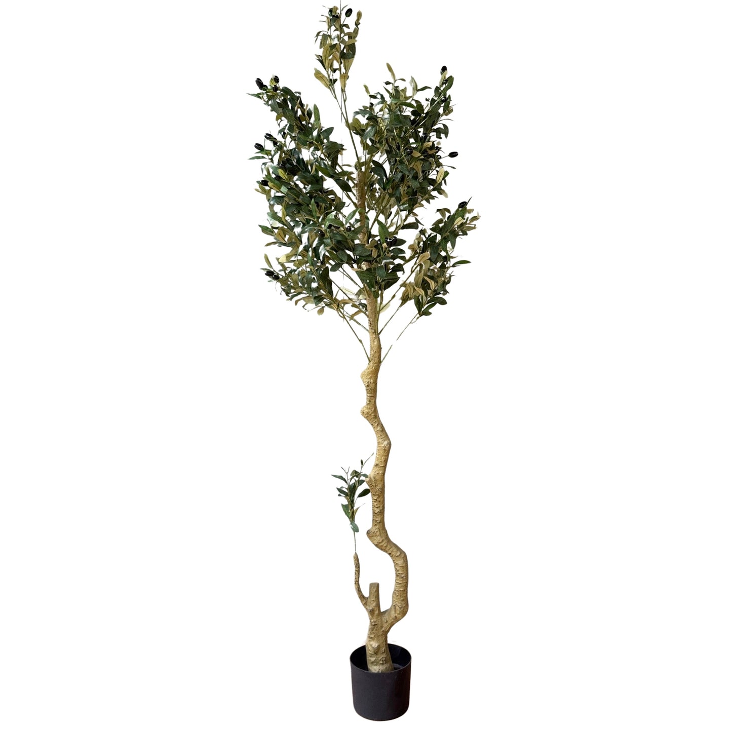 Calbria Large Olive Tree 180cm