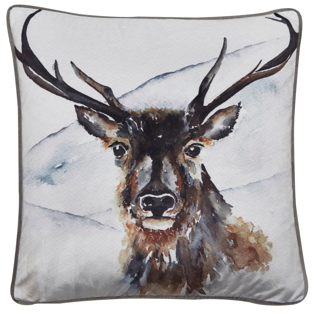 Boris Cushion (Set of 4)