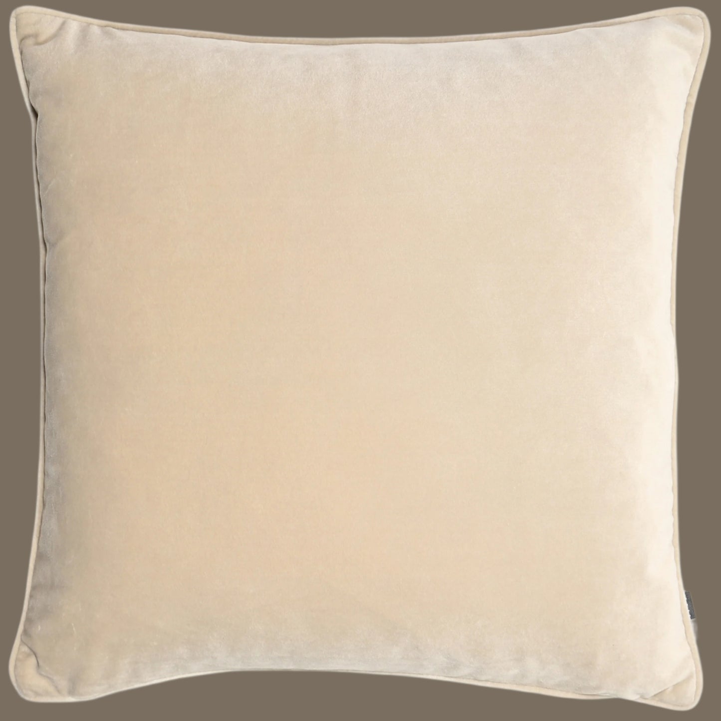 Luxe Champagne Cushion
