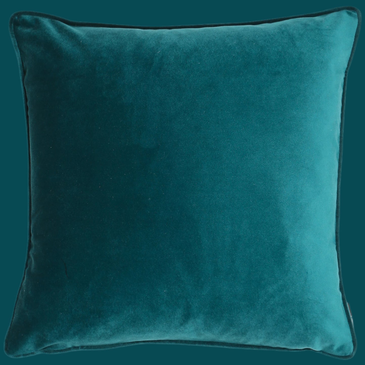 Luxe Teal Cushion