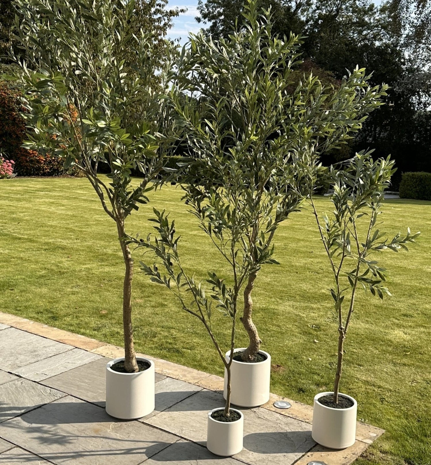Artificial Trees/Plants