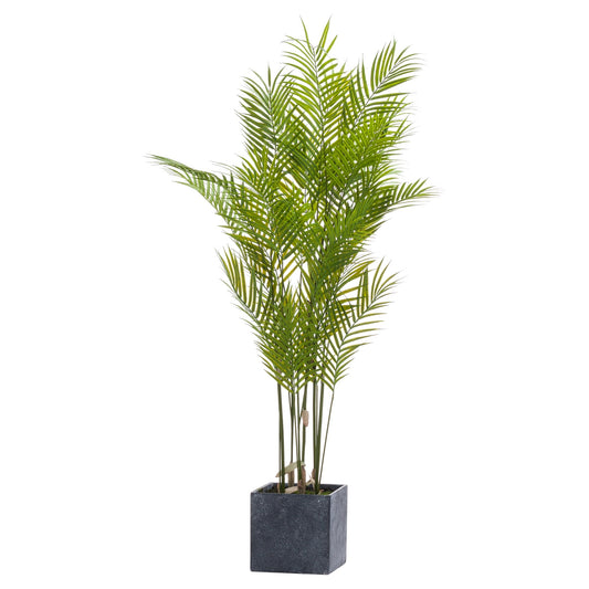 Large Paradise Potted Palm 130cm