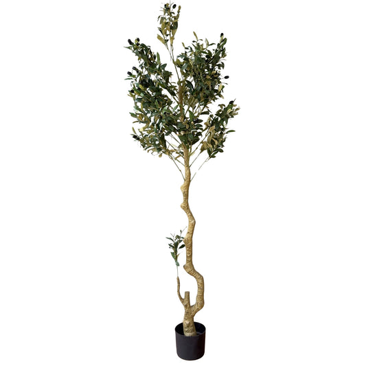 Calbria Large Olive Tree 180cm