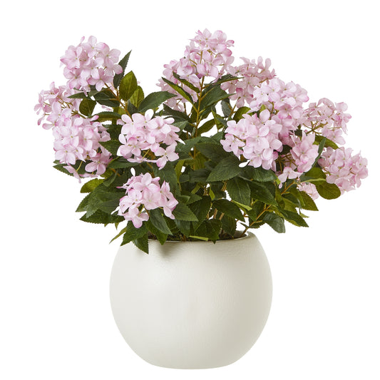 Large Pink Hydrangea Plant in pot 71cm