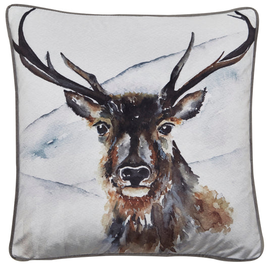 Boris Cushion (Set of 4)